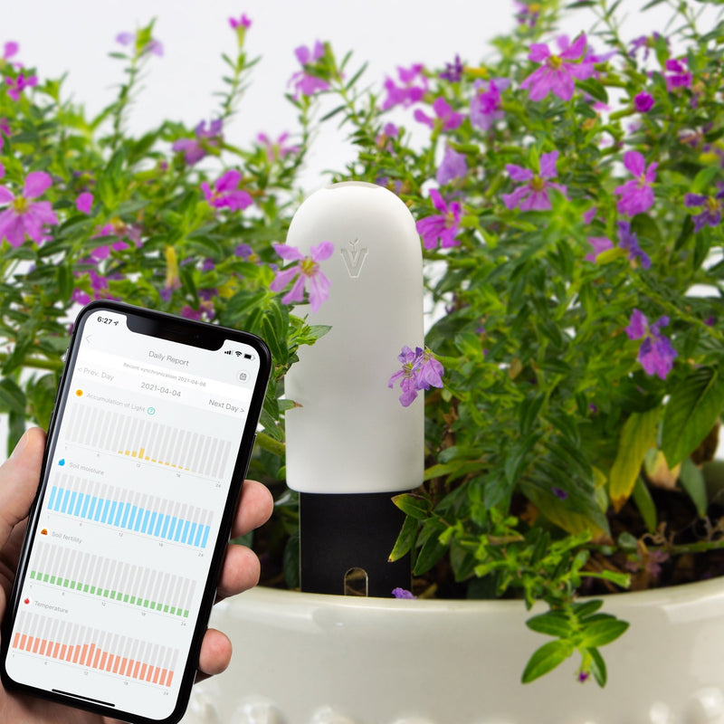 Plant & Flower Smart Sensors - 1 Piece - -