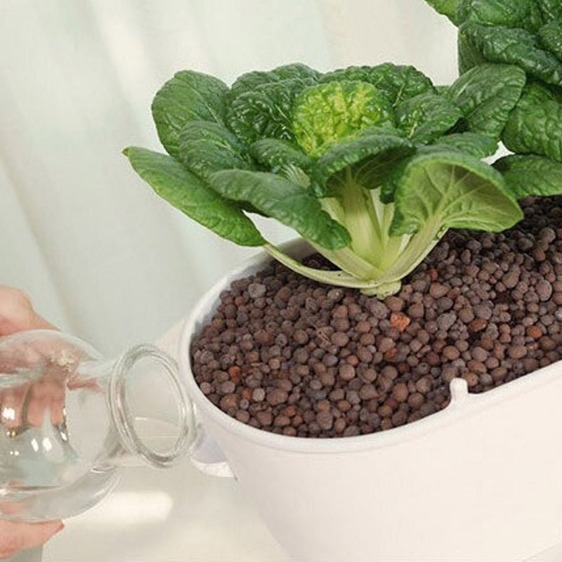 Self Watering Smart Planting Pot - -