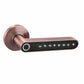 Smart_Door_Handle bronze