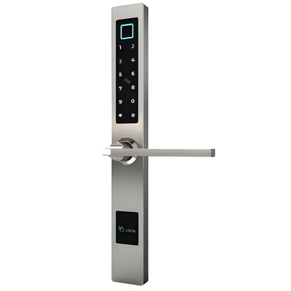 Cerradura inteligente Elegante para puerta